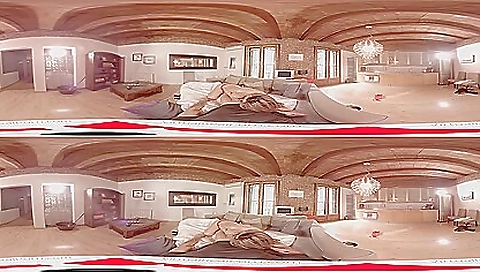 Trannyi and thirs jackkyers collins