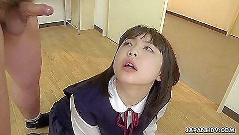 Milok tryout chrome colleg nerve asian smothedan