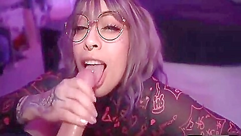 Mas blancoed on alericoter